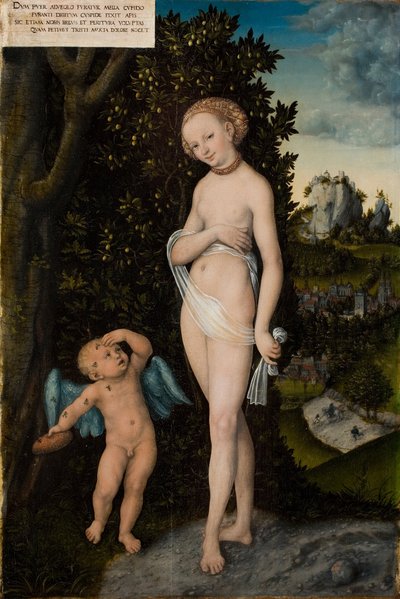 Venus mit Amor, der Honig stiehlt von Lucas Cranach the Elder